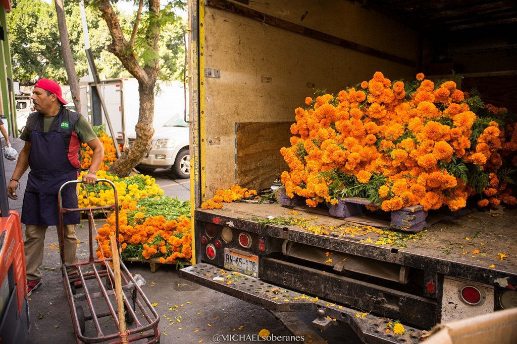 Dia de los muertos