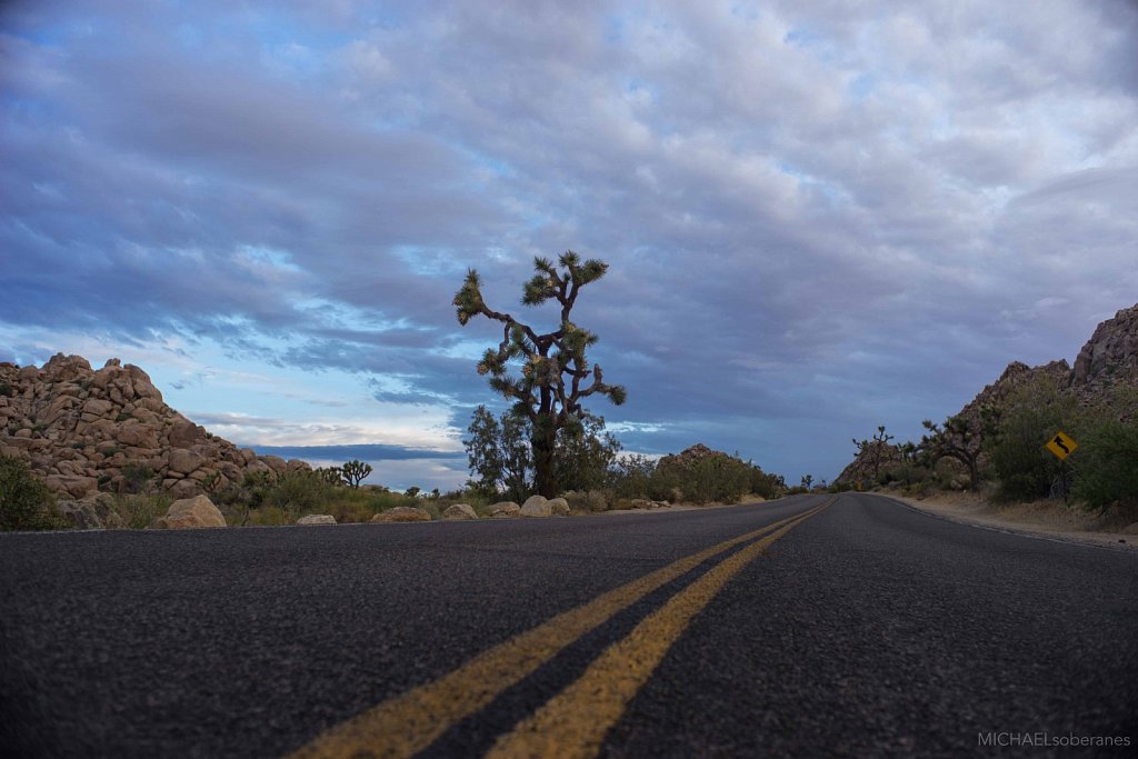 Joshua Tree National Park