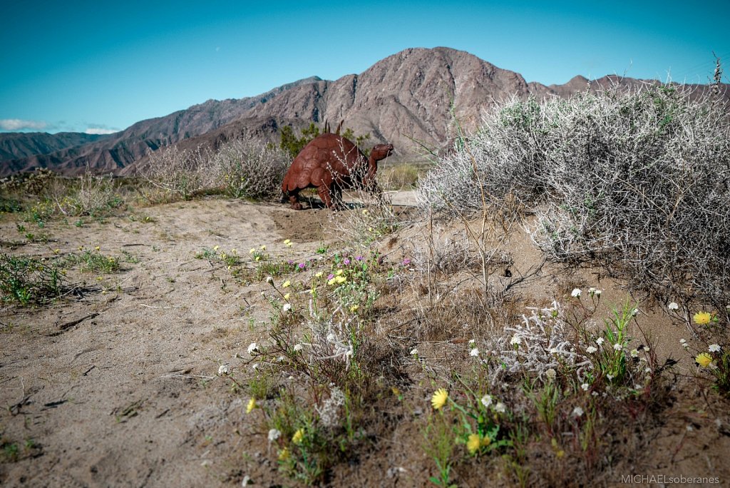 Anza-Borrego Desert State Park